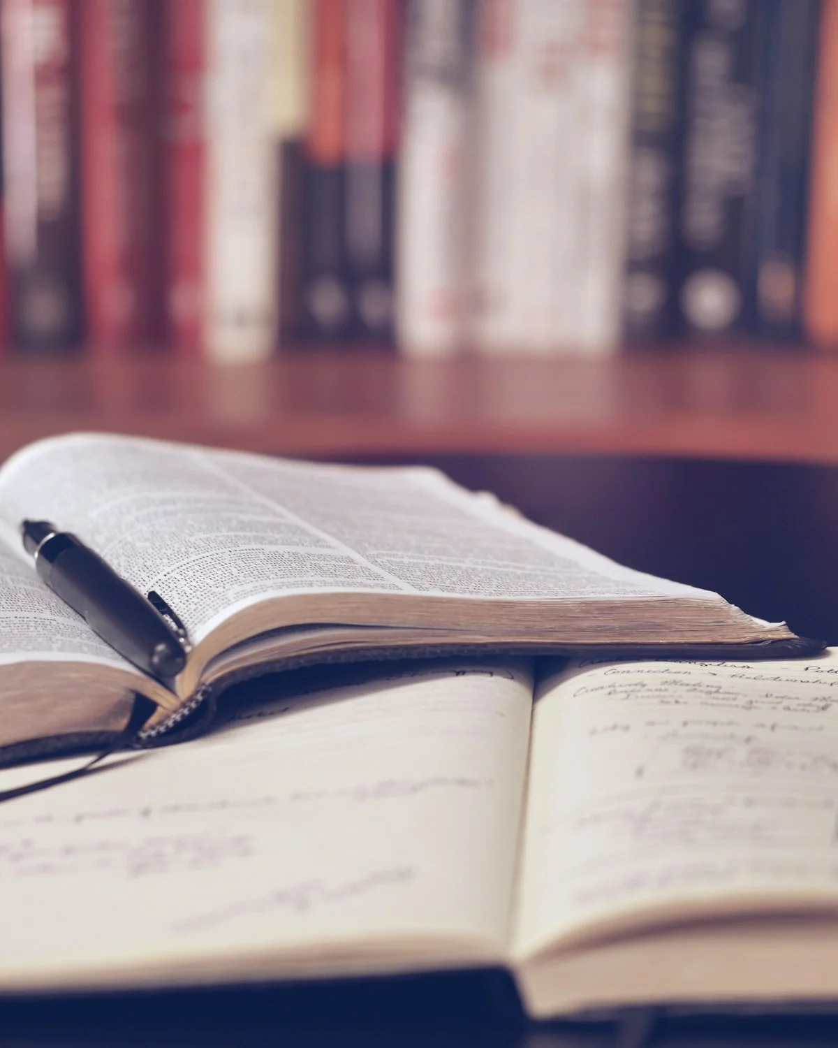 Cambridge English Program Launched